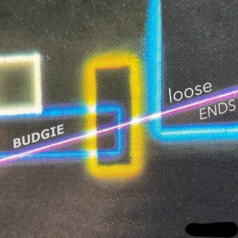 Budgie - Loose Ends