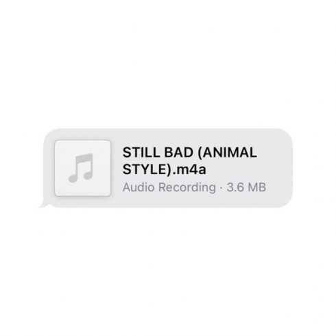 Lizzo – Still Bad (Animal Style) – Single (2025)