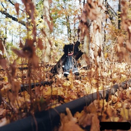Billy Woods - GOLLIWOG (Deluxe)