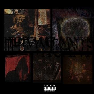 Sadistik & NOWHERE2RUN