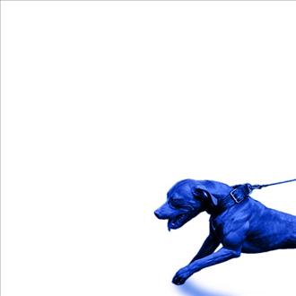 JasonMartin, Mike & Keys