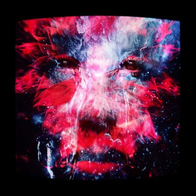 PNAU & MEDUZA – Rollin – Single (2026)