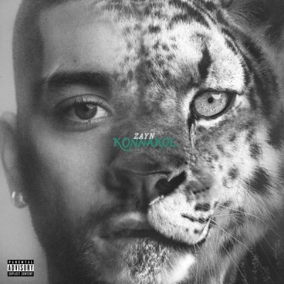 ZAYN – Die For Me
