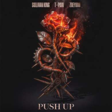 Sullivan King, T-Pain & Zoey808 – Push Up – Single (2026)