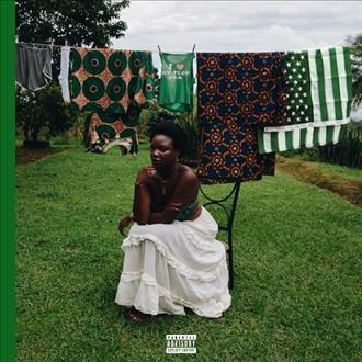 Adanna Duru - The Naijamerican Dream (2026)