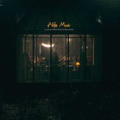 Alfa Mist - Live at Real World Studios