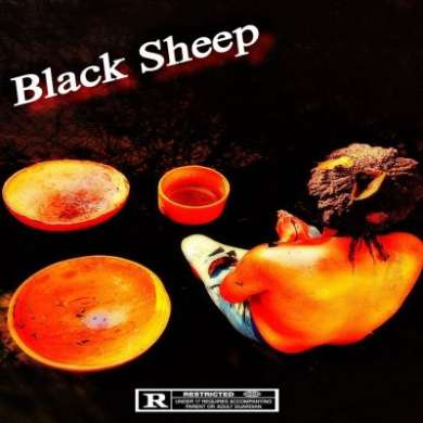 Bandgang Lonnie Bands - Black Sheep