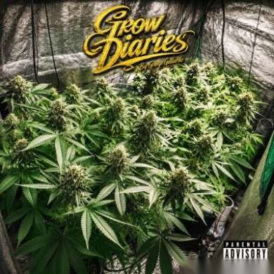 Grunge Gallardo - Grow Diaries